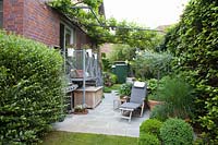 Seating terrace in small garden with wine pergola, Vitis vinifera 