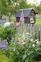 Rural garden with children's playhouse, Rosa, Campanula 