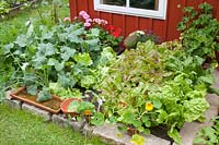 Vegetable patch at the garden house 