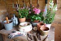 Work table in the garden house 