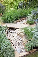Garden with dry stream, Eryngium, Artemisia, Pennisetum 