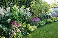 Aconogonon speciosum Johanniswolke, Stachys monnieri, Hakonechloa macra Aureola, Stachys monnieri Rosea, Bergenia, Hydrangea arborescens Annabelle 