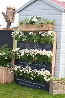 Vertical gardening, wall greening 