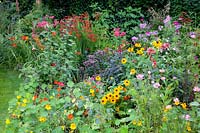 Bed with annual summer flowers and perennials 