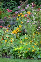 Bed with annual summer flowers and perennials 