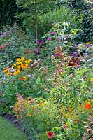 Bed with annual summer flowers, annual grasses and perennials 