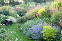 Bed with easy-care perennials, Agastache rugosa Black Adder, Solidago Loysder Crown, Nepeta Walker's Low, Kalimeris incisa 