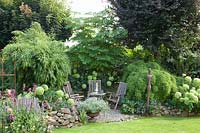 Seating area with bamboo, Fargesia murielae, Hydrangea arborescens Annabelle 