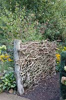 Fence made of branches of the corkscrew hazel, Corylus avellana Contorta 