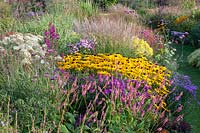 Bed with easy-care perennials, Rudbeckia fulgda Goldsturm, Persicaria amplexicaulis Jo 