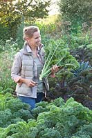 Woman harvesting kale, Brassica oleracea 