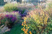 Natural garden with fountain grass, Chinese silver grass, asters, flat-ear grass, chrysanthemums, Pennisetum alopecuroides Hameln, Miscanthus sinensis, Aster Crimson Brocade, Chasmanthium latifolium, Dendranthema Dixter Orange 