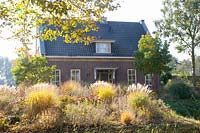 Autumnal front garden with Chinese silver grass, switchgrass and stonecrop, Miscanthus sinensis, Panicum virgatum copper millet, Sedum 