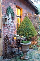 Terrace in winter with sugarloaf spruce in pot, Picea glauca 