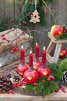 Advent arrangement, apples as candle holders 