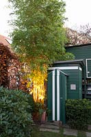 Light in the garden, spot-lit bamboo 