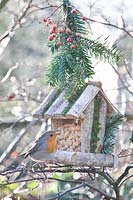 Bird feeder with robin, Erithacus rubecula 