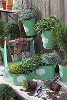 Pots with Mediterranean herbs 