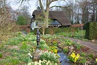 Stream with riparian plants, Caltha palustris, Anemone nemerosa, Lysichiton americanus, Leucojum aestivum 