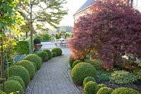 Path to the terrace lined with boxwood balls 