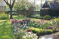 Bulb plants at the pond, Narcissus Thalia, Tulipa Ruby Prince, Tulipa Pretty Woman, Tulipa Purple Prince, Tulipa Negrita, Tulipa Burgundy 