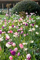 Bed with bulbous plants, Narcissus Thalia, Tulipa Ganders Rhaphsody, Tulipa Negrita, Tulipa Zurel, Tulipa Finola, Tulipa Fancy Frills 