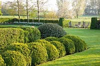 Garden with topiary, boxwood, holly 