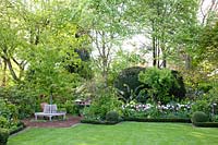 Garden in spring, tree bench under Parrotia persica Bella 