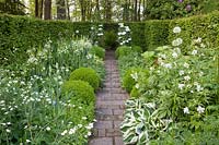 White garden with hostas, prairie lilies, ornamental onions, peonies, Hosta The Patriot, Camassia leichtlinii Alba, Allium, Paeonia emodi 