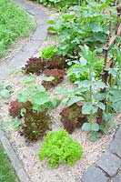 Bed with straw mulch 