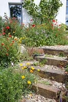Stairs in natural garden with annuals 