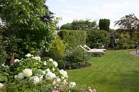 Loungers in the garden, hydrangea, Hydrangea arborescens Annabelle 