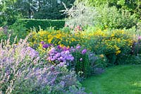 Bed with Nepeta faassenii Walkers Low, Phlox paniculata, Helianthus decapetalus 