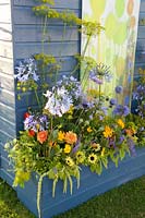 Perennials and herbs in a wooden box 
