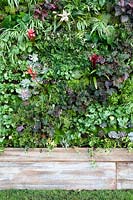 Vertical plant wall with perennials 