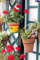 Pot garden 