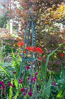 Bed with Crocosmia Lucifer, Lychnis coronaria Gardener's World 