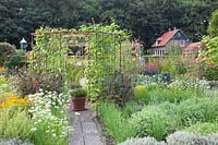 Cottage garden in late summer 