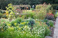 Cottage garden in late summer, Allium tuberosum; Brassica oleracea Nero di Toscana 