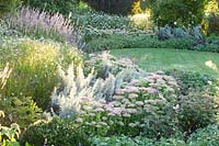 Perennial bed in late summer with Sedum Herbstfreude, Artemisia ludoviciana Silver Queen, Persicaria amplexicaulis Rosea, Kalimeris incisa, Geranium Dreamland 