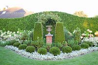 White garden with Thuja hedges, Stachys byzantina, Aster divaricatus, Salvia nemorosa Adrian, Taxus, Thuja occidentalis Brabant, Thuja occidentalis Smaragd 