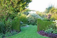 Arch with Thuja hedge, Thuja occidentalis 