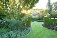 Arch with Thuja hedge, Thuja occidentalis 