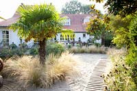 Bed with palm and feather grass, Nasella tenuissima 