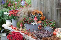 Autumn planting with sedge, creeping spindle, chrysanthemum and winterberry 