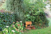 Country garden with seating area in October, Hydrangea arborescens Annabelle 