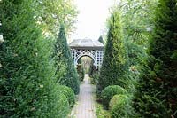 Formal garden with yew, taxus 