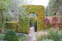 Garden in November with copper beech hedge, Fagus sylvatica 