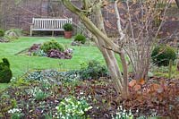 Seating in February with Hamamelis 