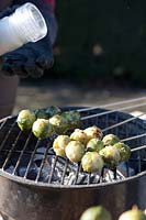 Grilled Brussels sprouts, Brassica oleracea 